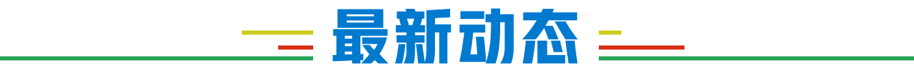 最新动态