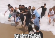 闽言网语：致敬挺身而出的英雄联盟