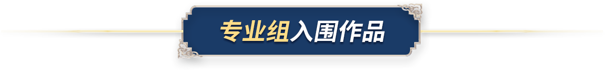 专业组入围作品