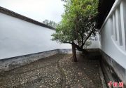 长征路上学党史丨瞿秋白囚室外，那株石榴树已亭亭如盖