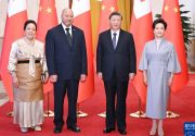 习近平会见汤加国王图普六世