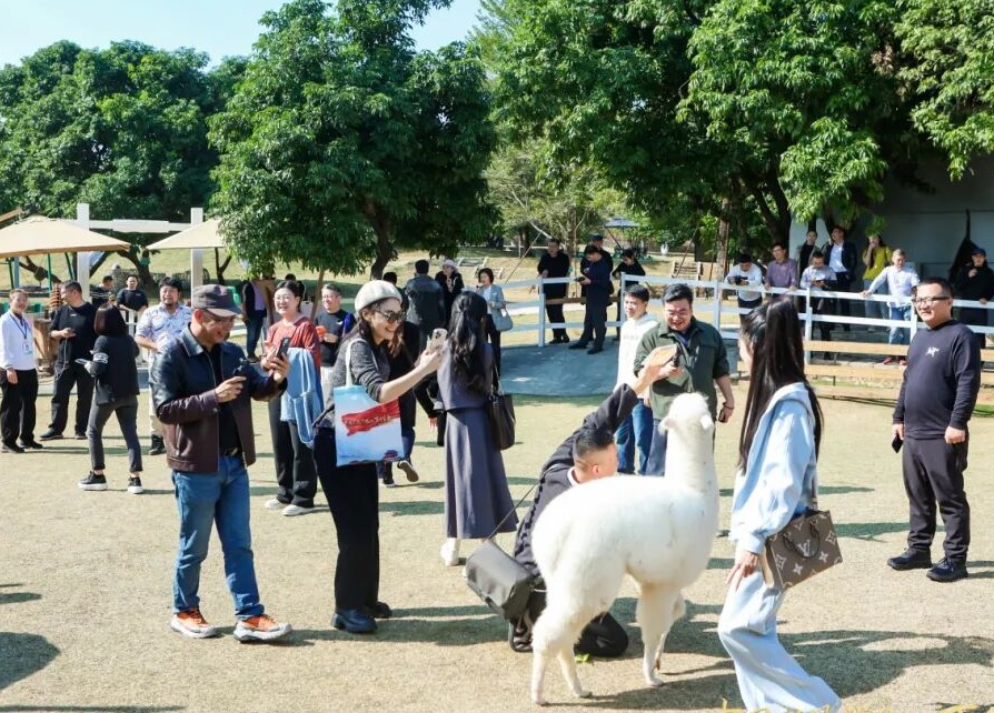 从生态田园到智慧科技，在漳州看“中国式现代化的万千气象”