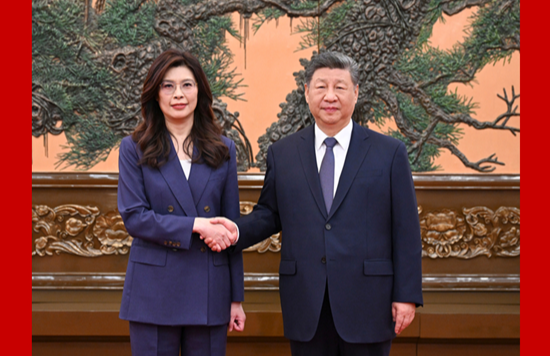 习近平总书记会见中国国民党主席郑丽文