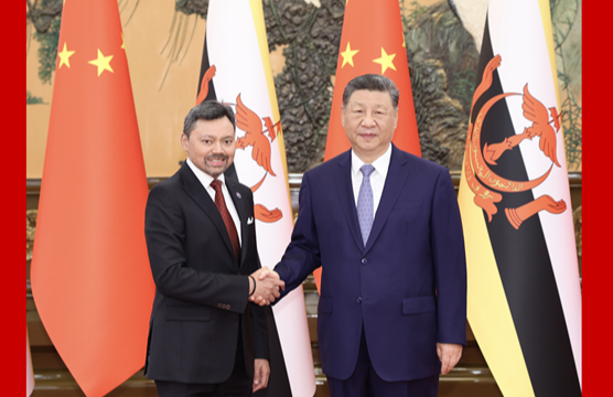习近平会见文莱王储比拉