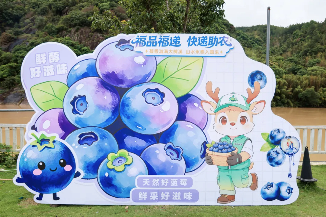 “电商助农联盟”系列活动 | 永泰蓝莓首次“触网”，“福品福递”助力乡村振兴