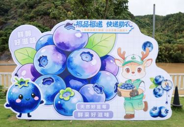 “电商助农联盟”系列活动 | 永泰蓝莓首次“触网”，“福品福递”助力乡村振兴