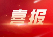 喜报！福建案例入选全国优化营商环境十大创新案例
